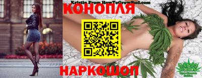 прущие крисы Будённовск