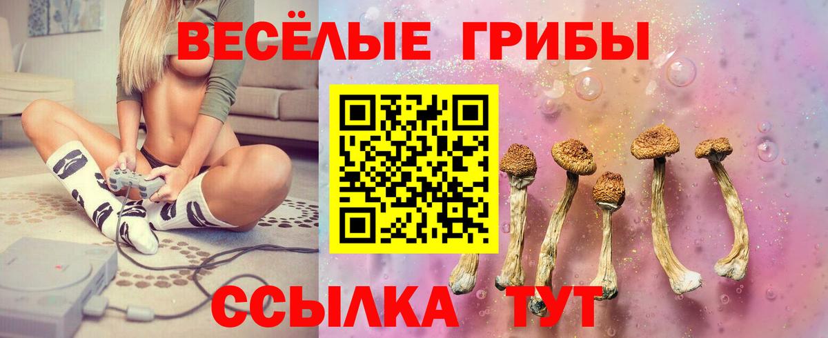 Галлюциногенные грибы мицелий Лысьва